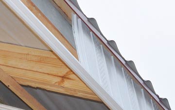 why Lanesend fascia repairs are essential