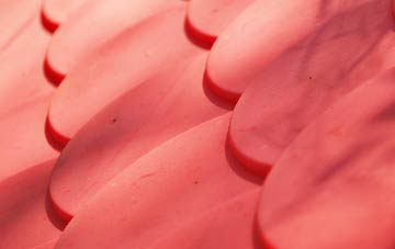 Lanesend plastic roof costs