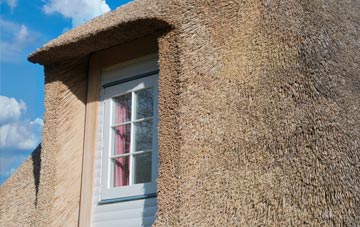 Lanesend thatch roof disadvantages
