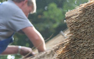 professional Lanesend thatchers