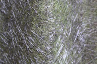 Lanesend fibreglass roof work