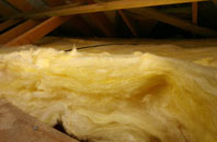 Lanesend pitch roof insulation