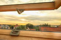 rated Lanesend roof window companies